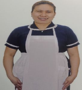 圖示-看護,外勞,人力仲介,外勞仲介,申請外勞,外勞申請,人力仲介公司,外勞仲介公司,外傭,外勞續聘,外籍看護,巴氏量表,外傭申請,外勞看護,移工,外藉移工