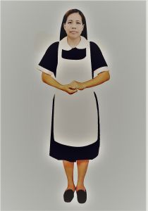 圖示-看護,外勞,人力仲介,外勞仲介,申請外勞,外勞申請,人力仲介公司,外勞仲介公司,外傭,外勞續聘,外籍看護,巴氏量表,外傭申請,外勞看護,移工,外藉移工