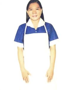 圖示-看護,外勞,人力仲介,外勞仲介,申請外勞,外勞申請,人力仲介公司,外勞仲介公司,外傭,外勞續聘,外籍看護,巴氏量表,外傭申請,外勞看護,移工,外藉移工