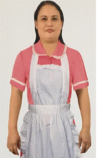 圖示-看護,外勞,人力仲介,外勞仲介,申請外勞,外勞申請,人力仲介公司,外勞仲介公司,外傭,外勞續聘,外籍看護,巴氏量表,外傭申請,外勞看護,移工,外藉移工