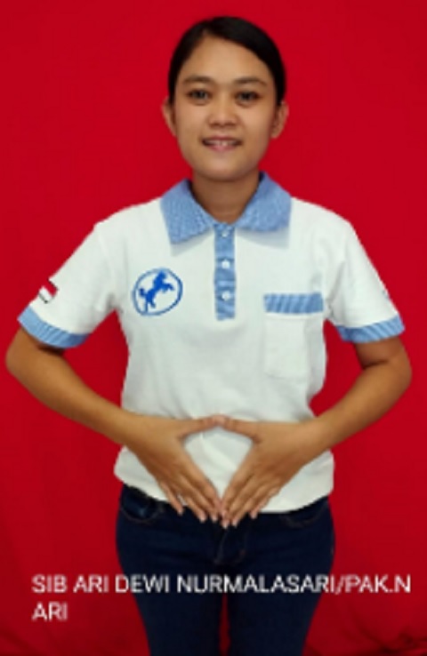 圖示-看護,外勞,人力仲介,外勞仲介,申請外勞,外勞申請,人力仲介公司,外勞仲介公司,外傭,外勞續聘,外籍看護,巴氏量表,外傭申請,外勞看護,移工,外藉移工