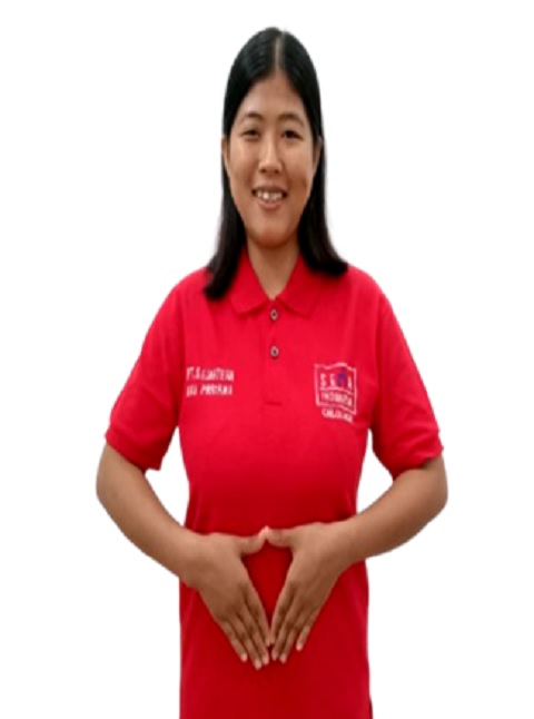 圖示-看護,外勞,人力仲介,外勞仲介,申請外勞,外勞申請,人力仲介公司,外勞仲介公司,外傭,外勞續聘,外籍看護,巴氏量表,外傭申請,外勞看護,移工,外藉移工